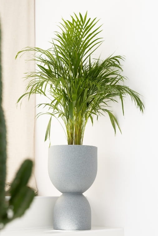 Blumentopf Kelch 65 cm mit Innenboden