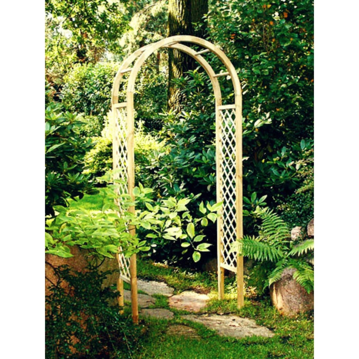 Rosa Pergola