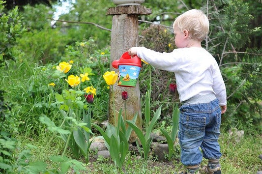Ideen für die Gartengestaltung: Wie Sie den Garten Ihrer Träume gestalten