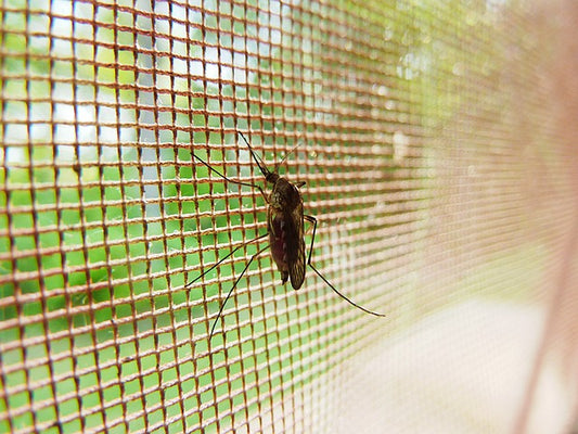 Fliegengitter Balkontür: Eine effektive Lösung gegen Insekten