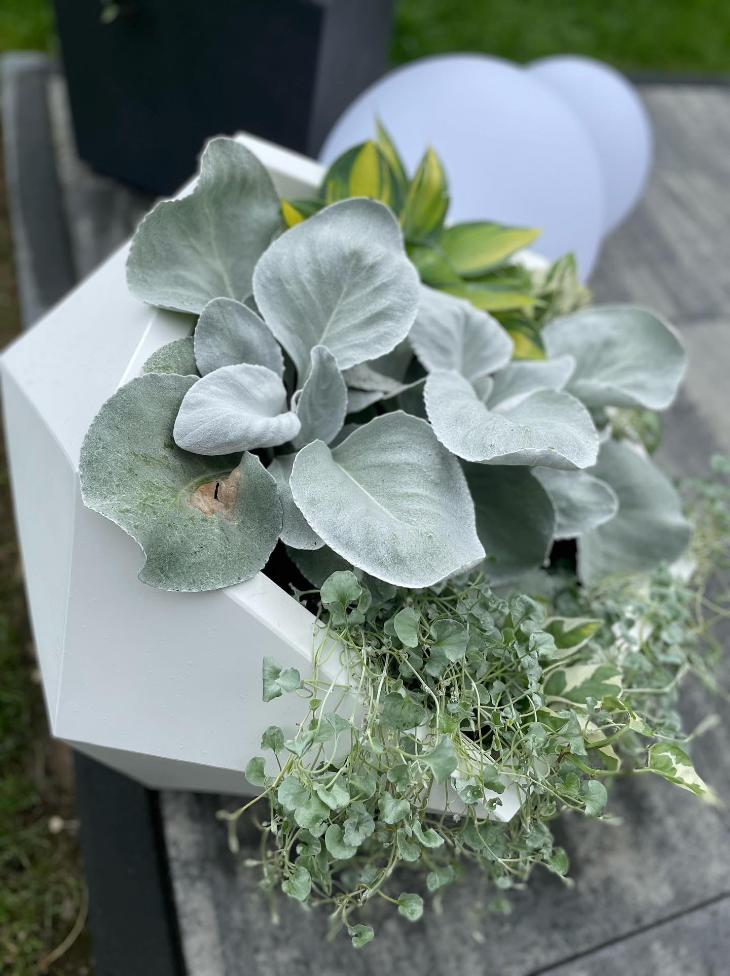 Blumentopf Vesari 46 cm