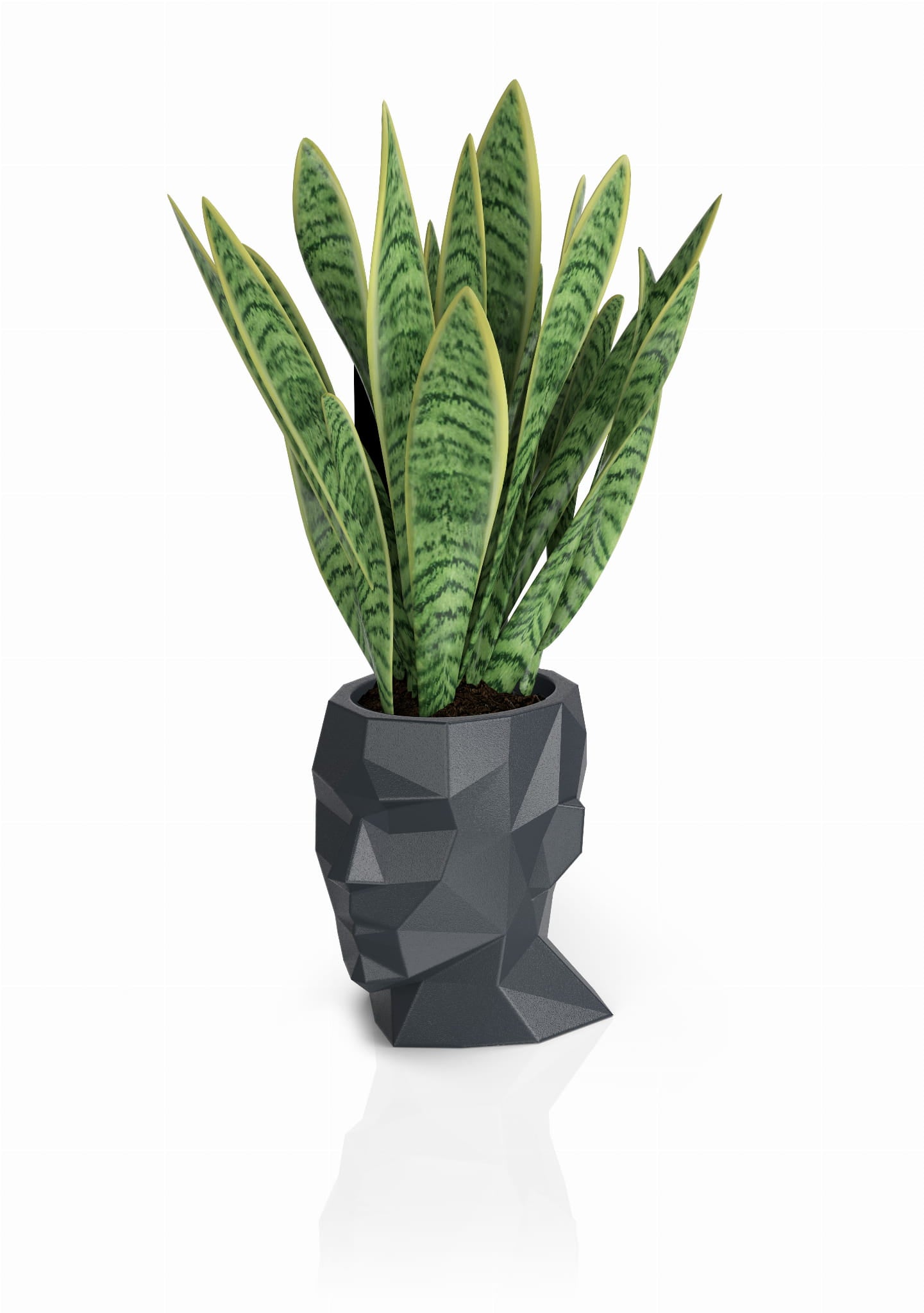 Design-Blumentopf Kopf Adonis 40 cm mit Innenboden