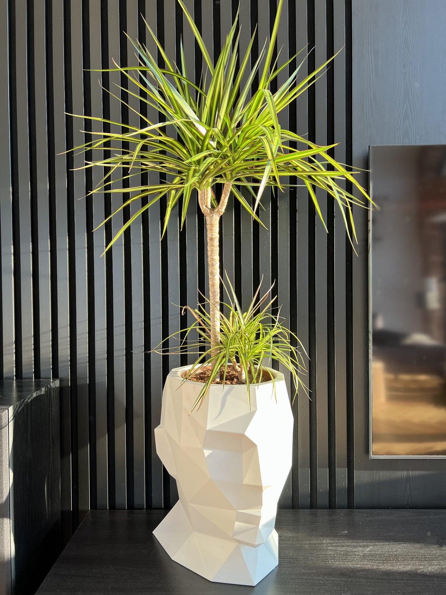 Design-Blumentopf Kopf Adonis 40 cm mit Innenboden