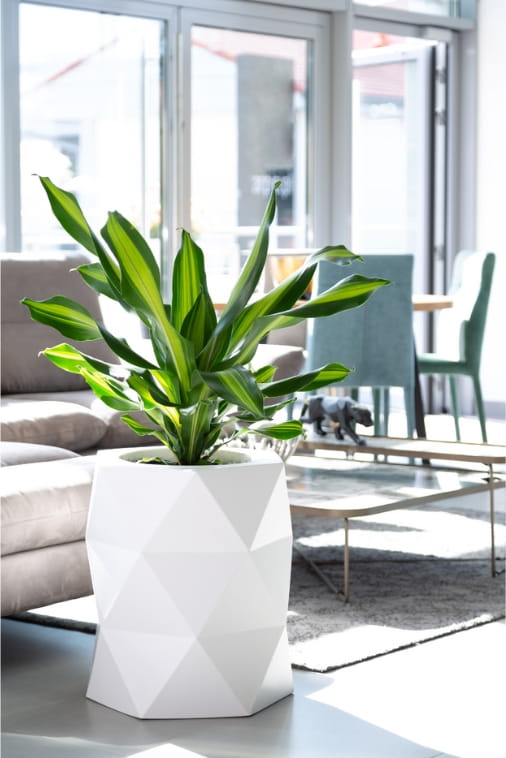 Design-Blumentopf Modena 54 cm