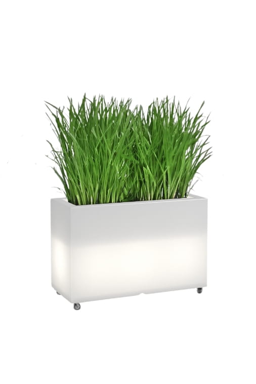 Langer LED-Pflanzkübel auf Rollen Monumo Lungo Maxi Light Warmweiß 50 cm