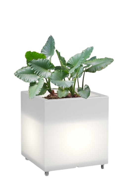 Beleuchteter quadratischer LED-Blumentopf Pixel Pot Light auf Rollen 50 cm – Neutralweiß 4000K