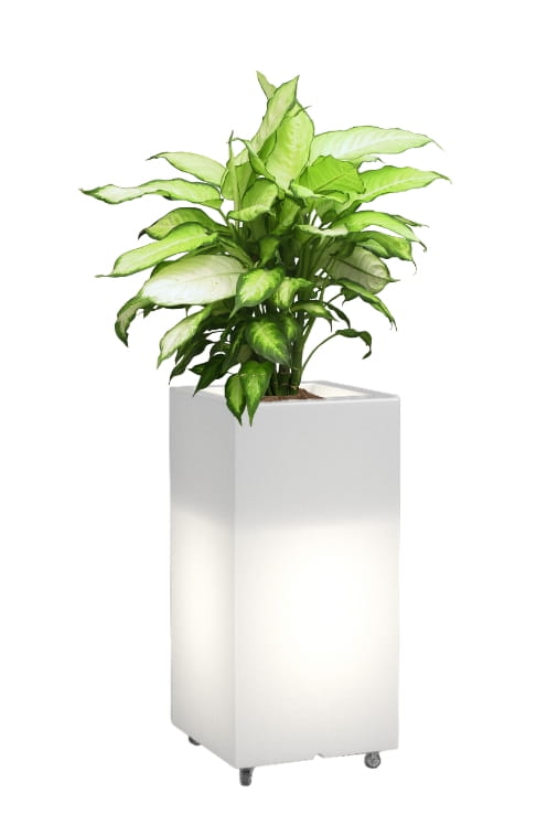 Hoher LED-Pflanzkübel auf Rollen Monumo Tower Pot Light Neutralweiß 70 cm