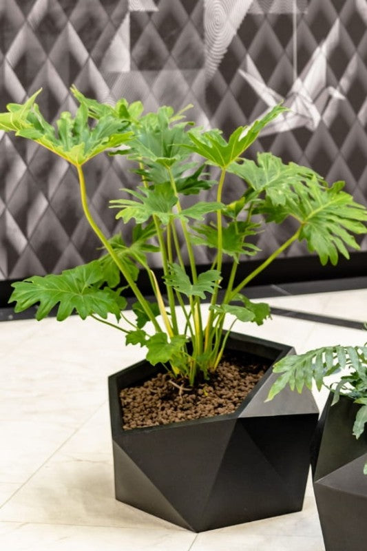 Blumentopf Vesari 46 cm
