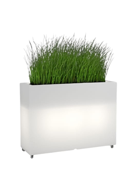 Design-Blumentopf Longerino Light 70 cm auf Rollen mit LED (Kaltweiß)