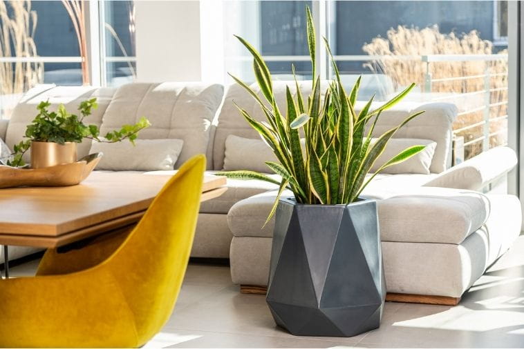 Blumentopf Flavi 54 cm mit Innenboden