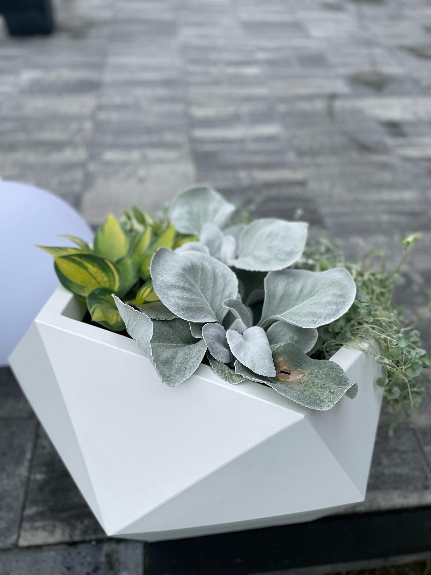 Blumentopf Vesari 46 cm