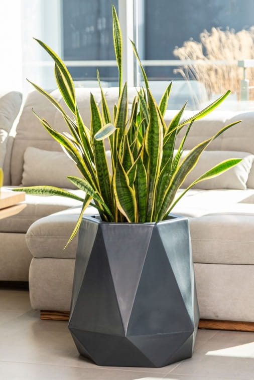 Blumentopf Flavi 54 cm mit Innenboden