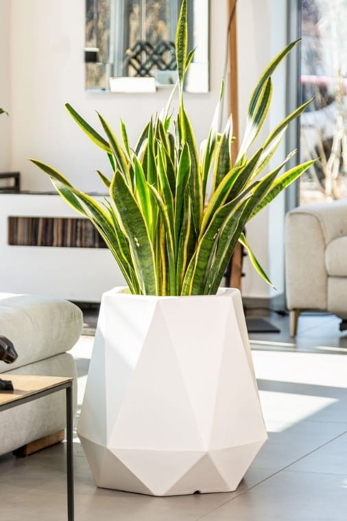 Blumentopf Flavi 54 cm mit Innenboden