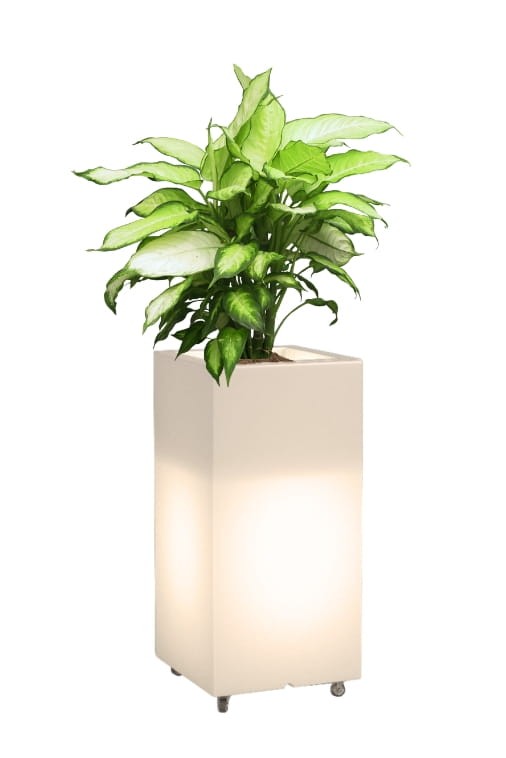 Hoher LED-Pflanzkübel auf Rollen Monumo Tower Pot Light Warmweiß 70 cm