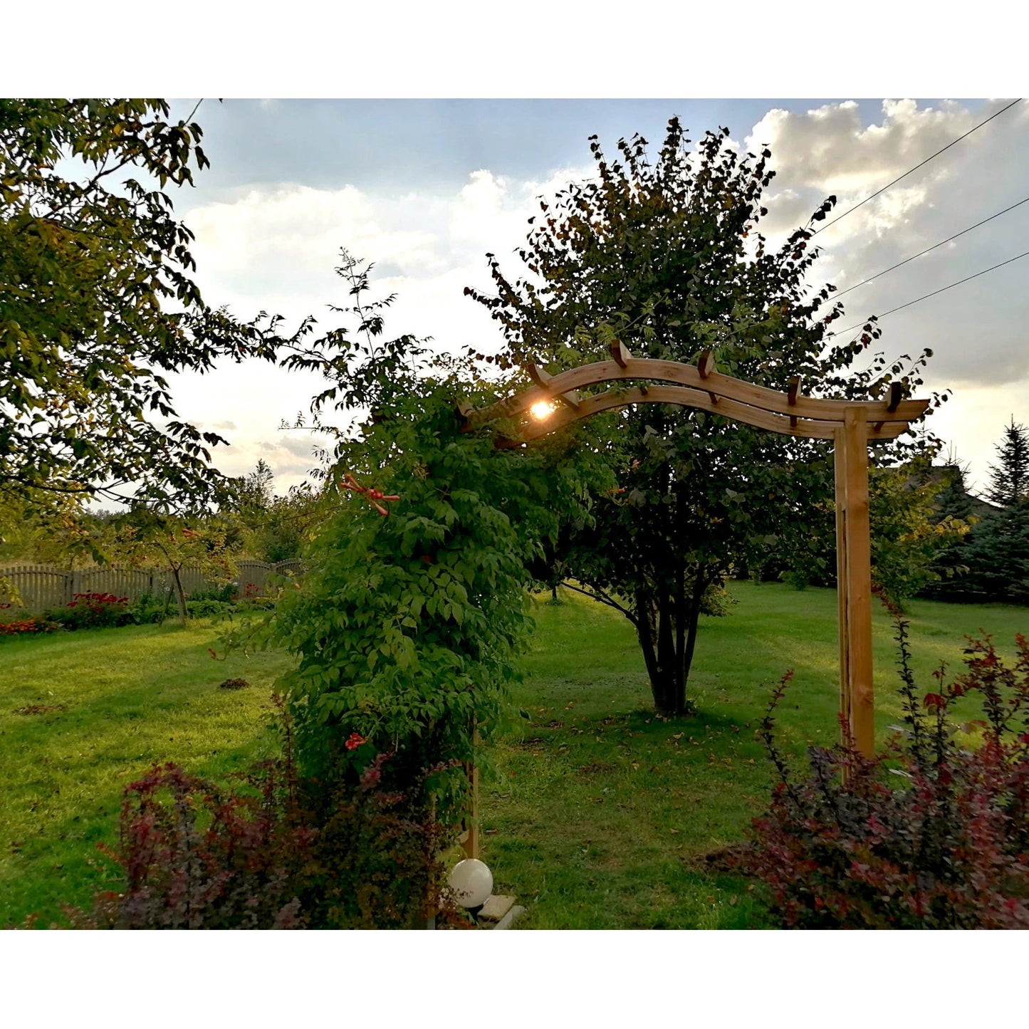 Dover Pergola