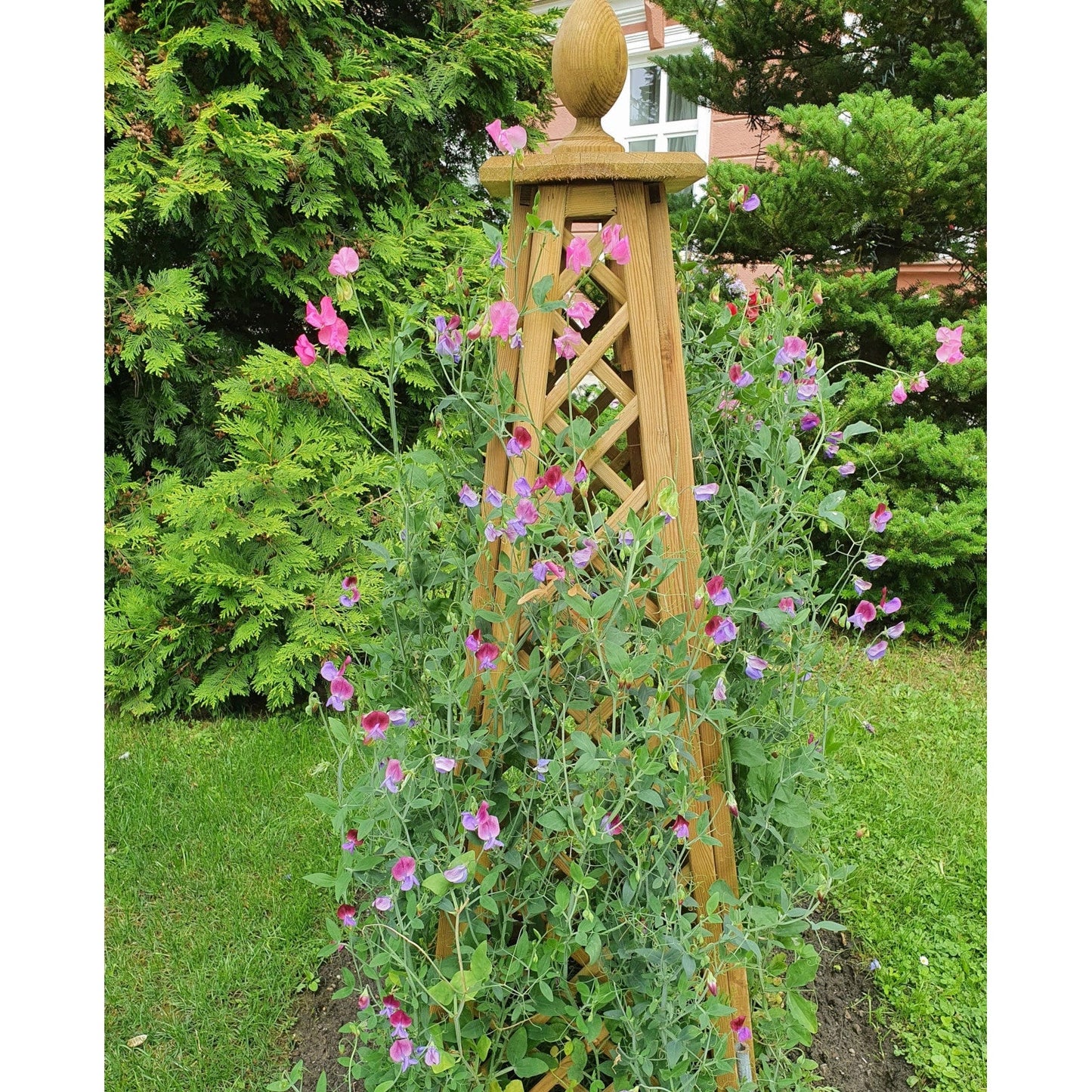 Rankhilfe Obelisk mit Kugel aus Lärche