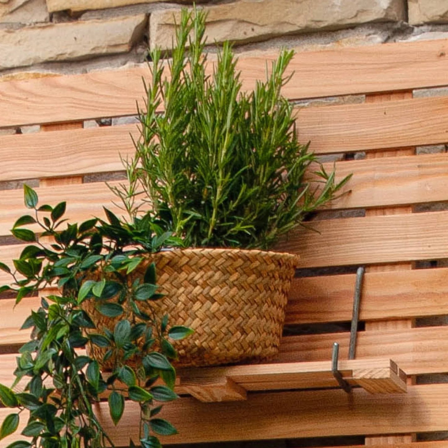 LARIX-Regal mit Haken für Sichtschutz