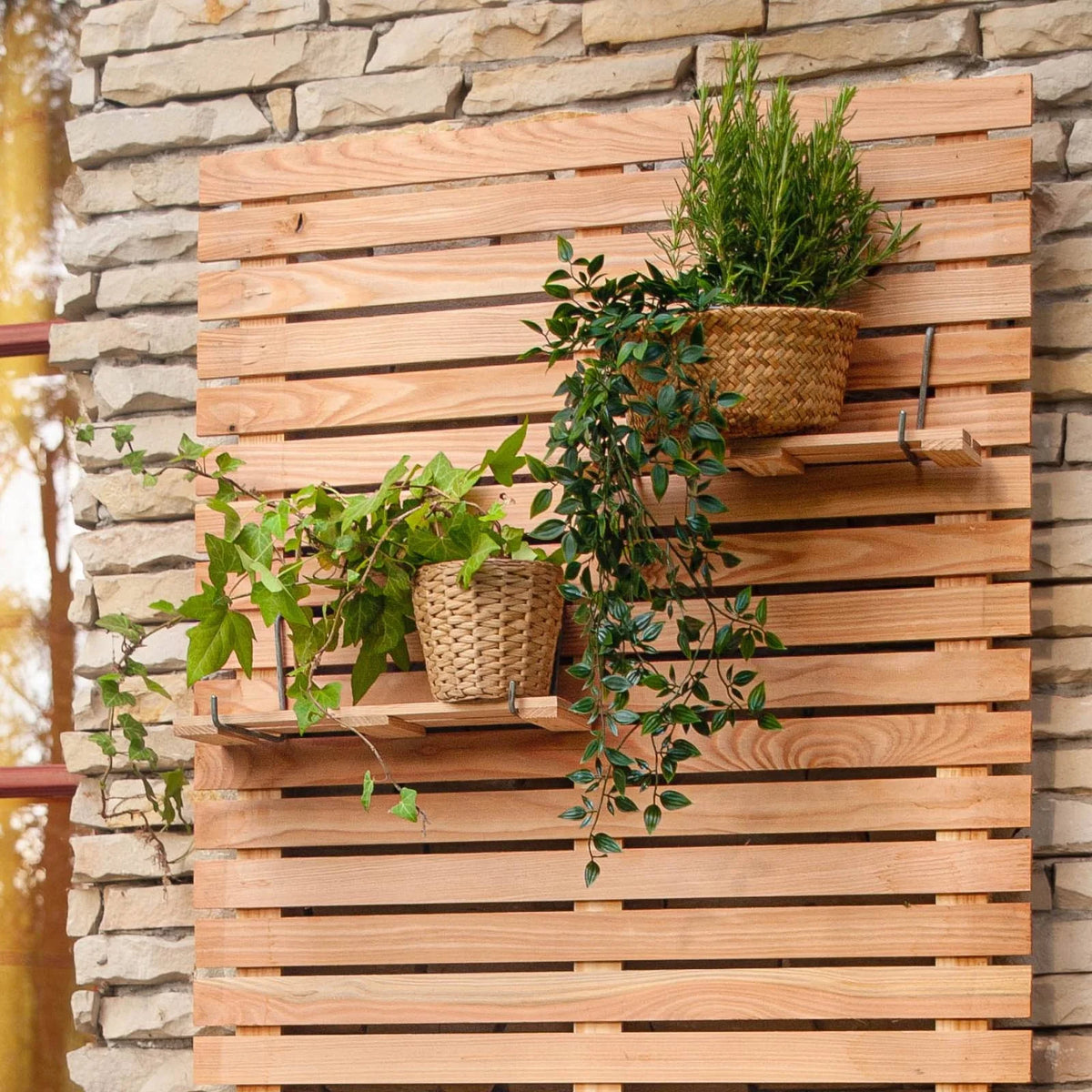 LARIX-Regal mit Haken für Sichtschutz – Garten Wunsch