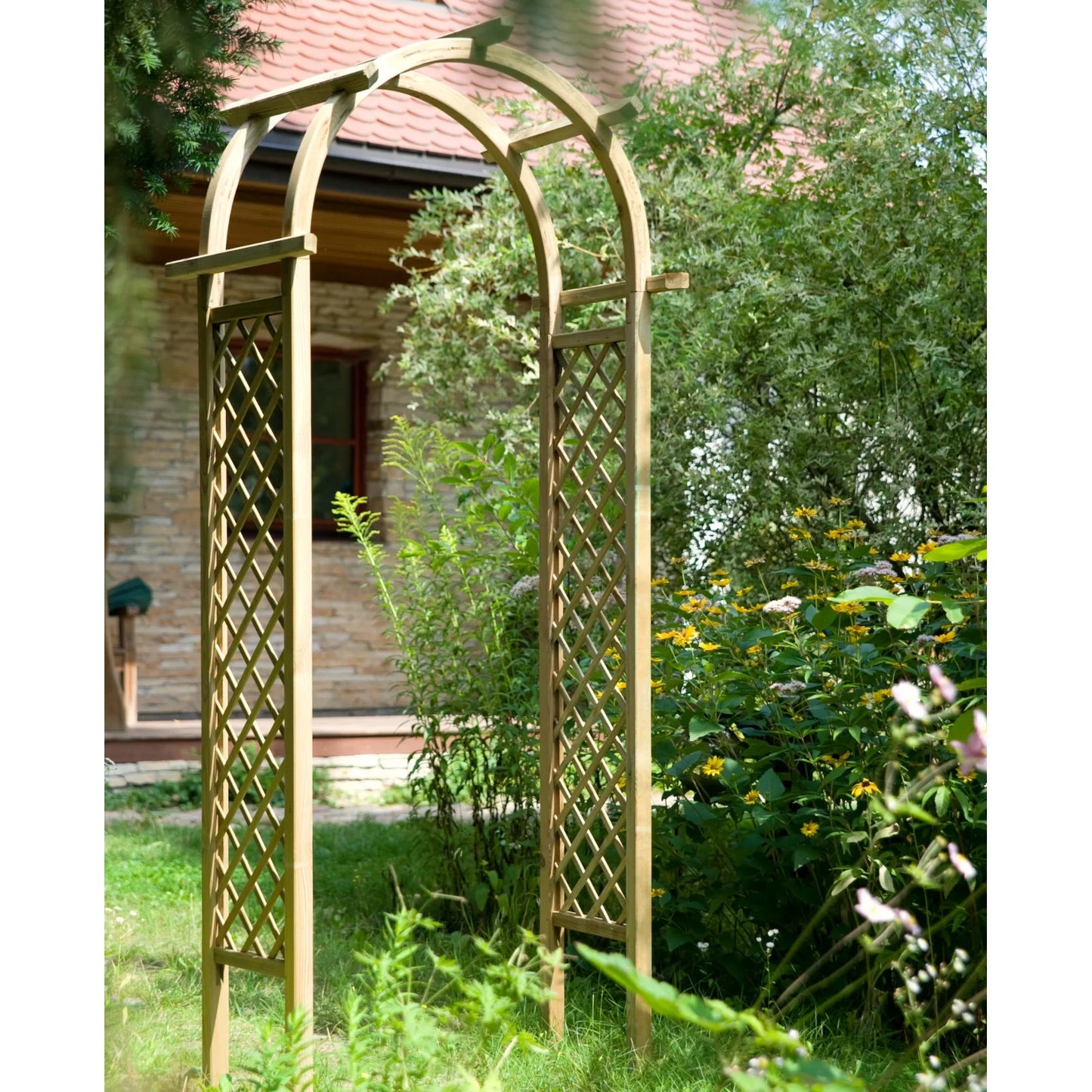 Rosa Pergola