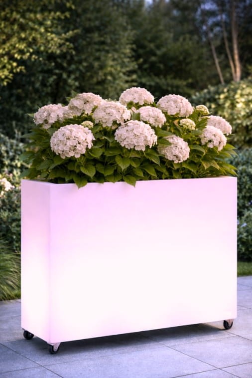 Design-Blumentopf Lungo Grande Light 60 cm auf Rollen mit LED RGB